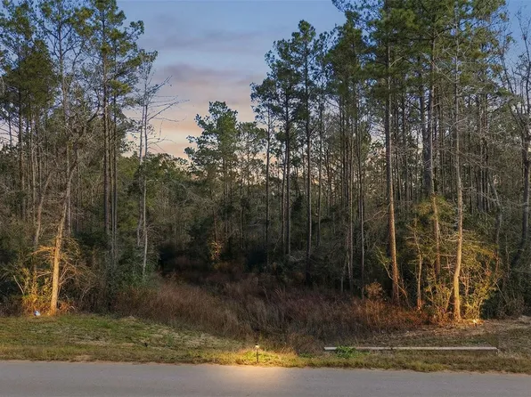 10733 Ruger Rd, Willis, TX 77378