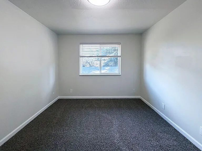 2447 Roosevelt Blvd #3 — Photo 13