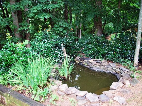 Koi pond