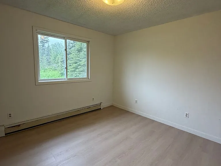46020 Fireweed Pl N — Photo 11
