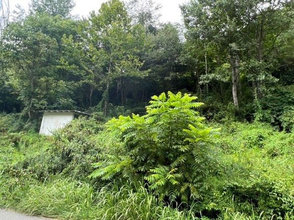 1080 Fairview Rd, Duffield, VA 24244