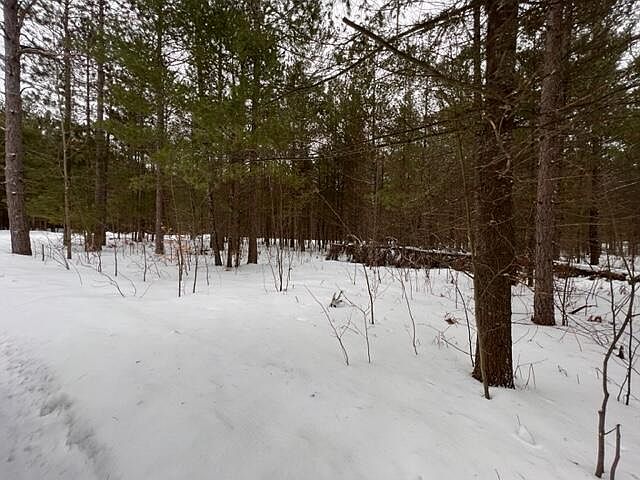 1st image of 103 White Pine Dr
