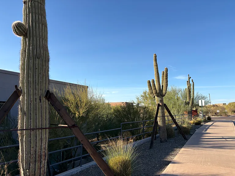short walk to sprouts, safeway, dentists, hair salon, med spa, library, and restaurants