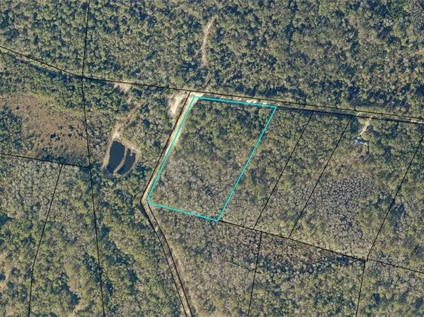 1 Canoochee Drive, Claxton, GA 30417