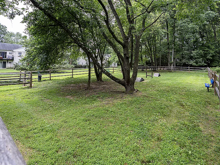 Dog Park