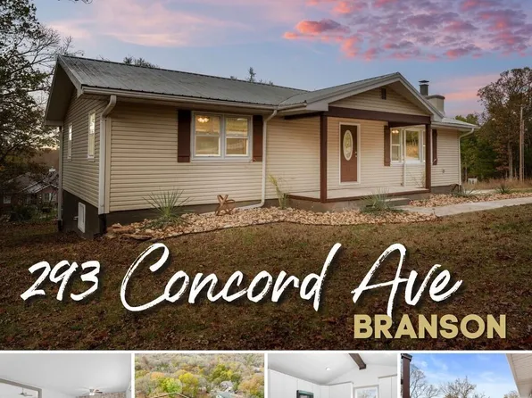 293 Concord Avenue, Branson, MO 65616