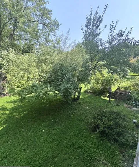 794 Bear Hill Rd — Photo 31