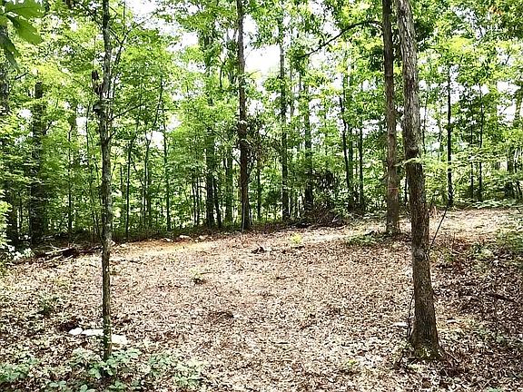 4th image of 2544 Peach Orchard Hill Rd NE