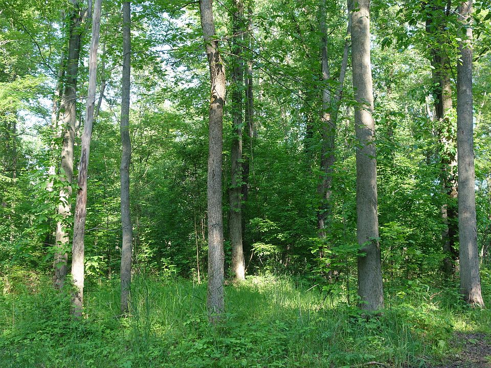 1st image of 0 Willis Rd