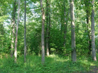 0 Willis Rd, Ypsilanti, MI, 48197