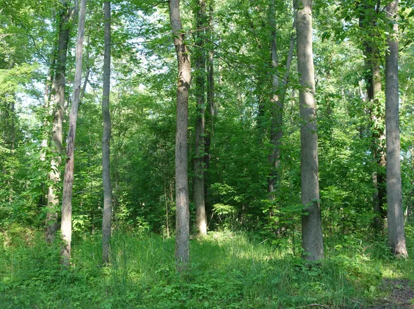 0 Willis Rd, Ypsilanti, MI 48197