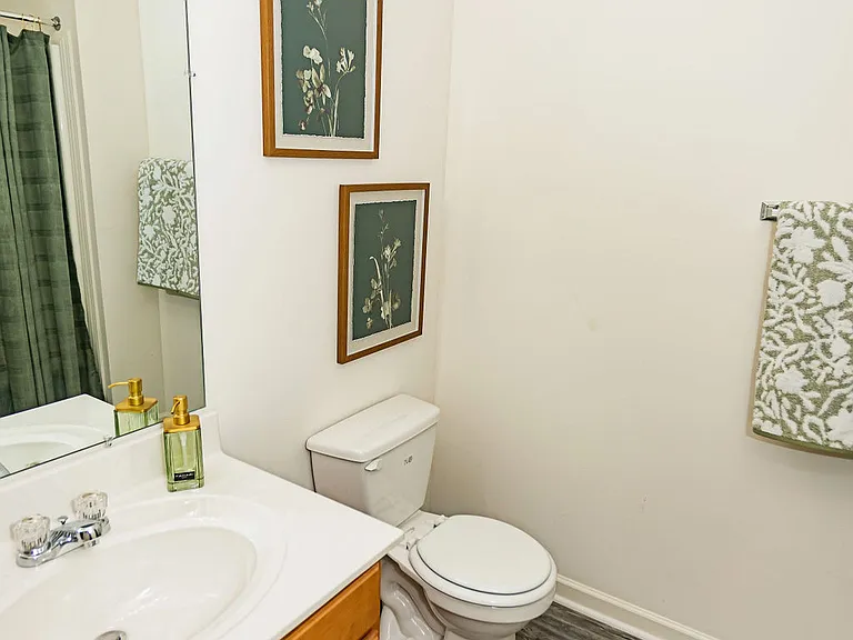 The Pointe at Peters Creek — Photo 23