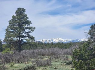 469 Fantango Ln, Durango, CO 81301