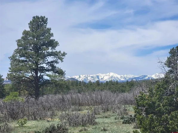 469 Fantango Lane, Durango, CO 81301