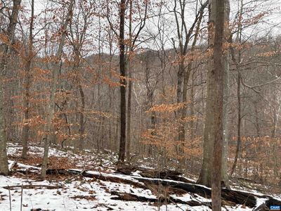 Tm 7 A 6 Entry Run Rd, Stanardsville, VA, 22973