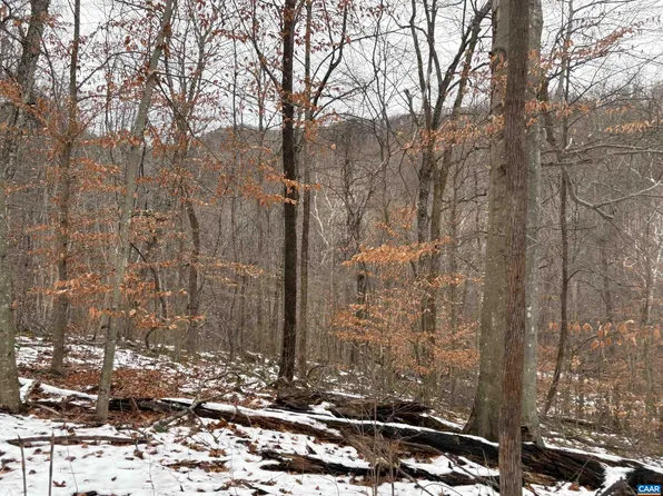 Tm 7 A 6 Entry Run Rd, Stanardsville, VA 22973