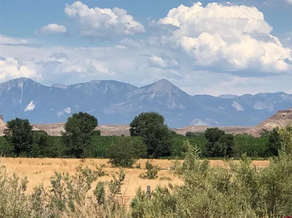 TBD Albion Road, Austin, CO 81410