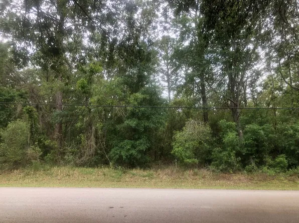 670 W Olympia St, Hernando, FL 34442