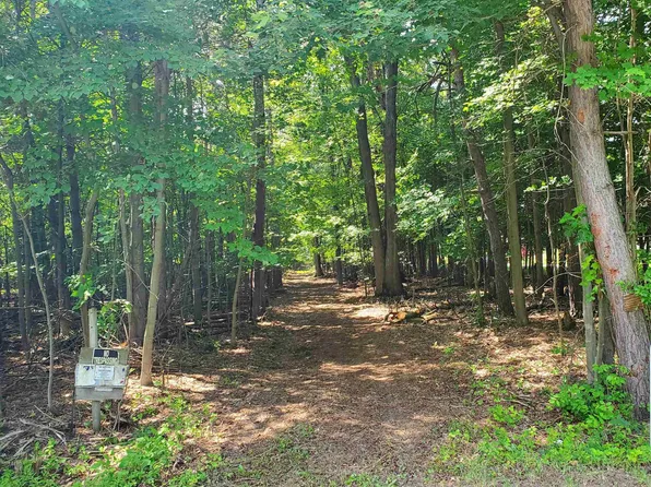 Mortimer Line Rd, Croswell, MI 48422