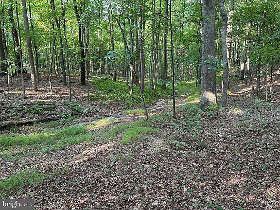 5th image of 16418 Cedar Grove Rd