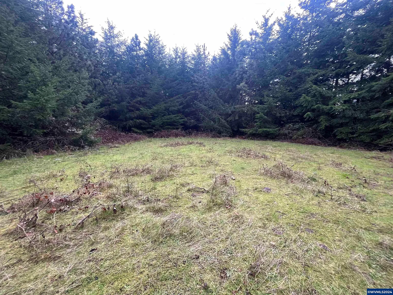 Tl 602 Santiam Terrace Rd photo 1