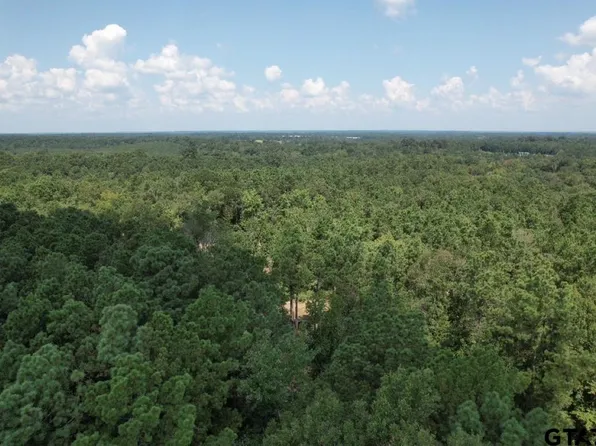 County Road 3704, Joaquin, TX 75954