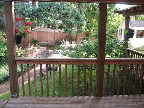 Back yard