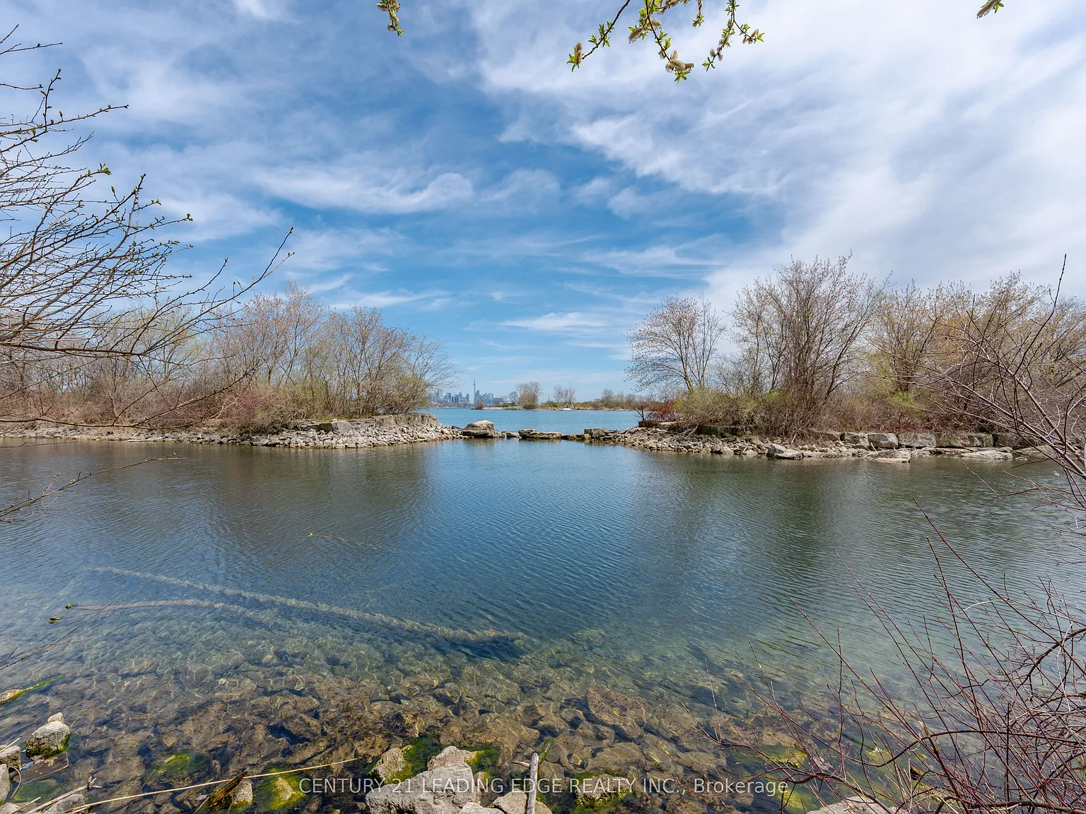 3 bed, $4,300 — Photo 4