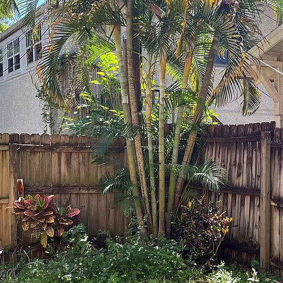 520 E Amelia St — Photo 13