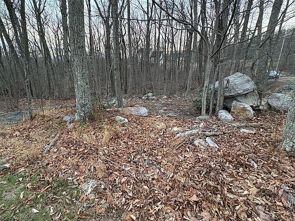 3rd image of 245 Inca Trl