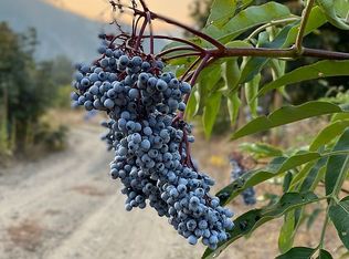 6324 Campbell Rd, Peshastin, WA 98847