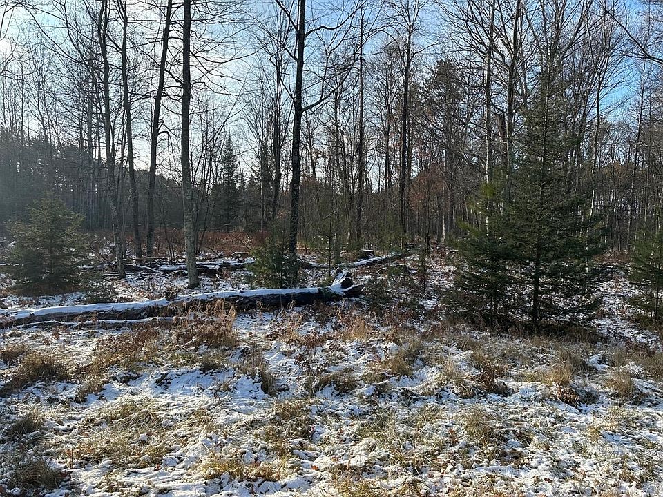 Jankowski Rd 1, Athelstane, WI 54104 Zillow