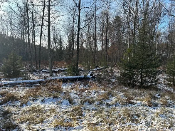 Jankowski Rd #1, Athelstane, WI 54104
