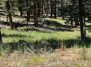 193 Junction Way, Florissant, CO 80816