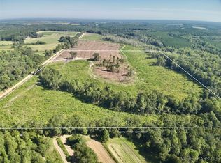 65/- Tindil Creek Rd, Slocomb, AL 36375