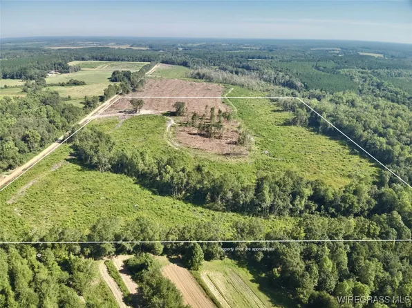 65/- Tindil Creek Rd, Slocomb, AL 36375