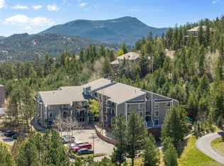 31270 John Wallace Road #304, Evergreen, CO 80439