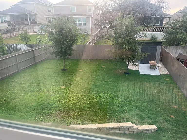 Backyard view