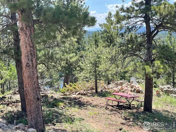 1091 Osage Trl, Red Feather Lakes, CO 80545
