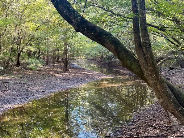 0 Lloyd Mill Rd, Andalusia, AL 36421