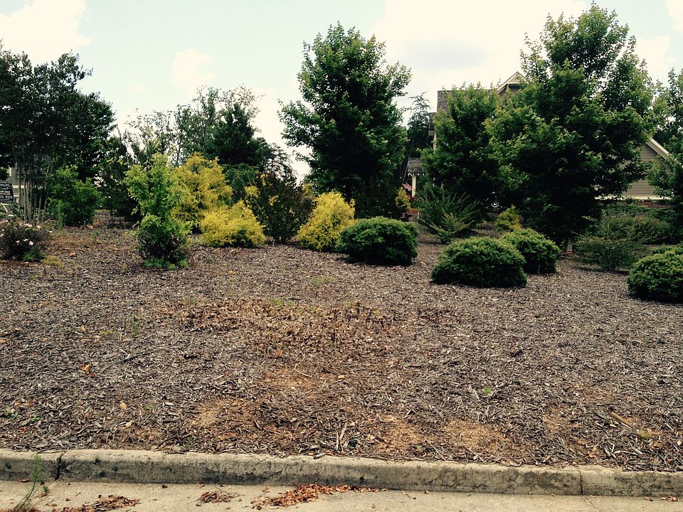 1st image of 113 Stonehaven Dr