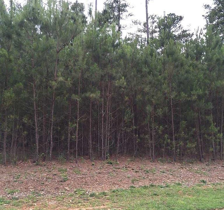 2nd image of 110 Abaco Ln