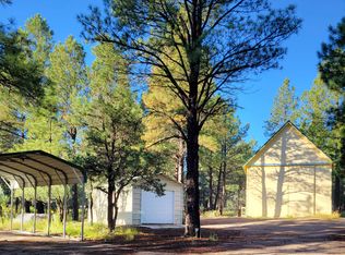 212 Winter Ln, Timberon, NM 88350