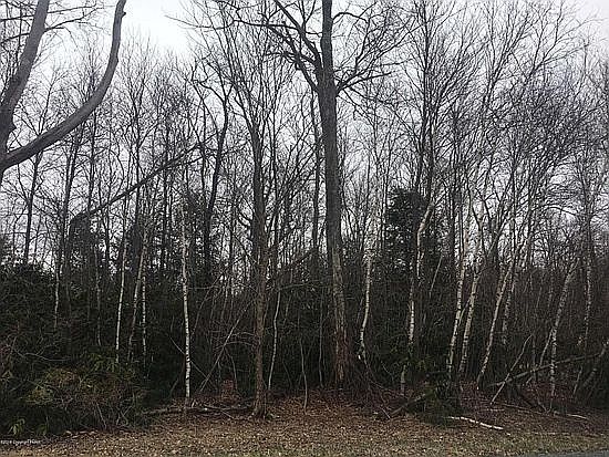 1st image of White Goose St #4202