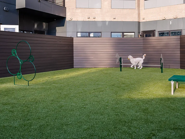 Courtyard Dog Park