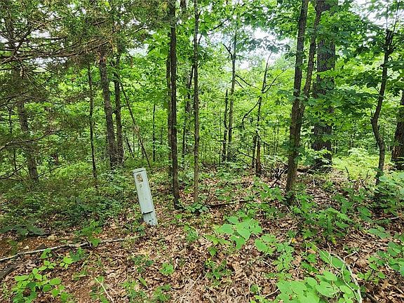 5th image of Lots 2 & 3 Foshee Ln