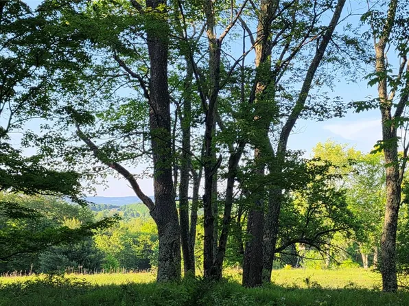 Lot 1.35 W Shore Road, Bethel, NY 12720