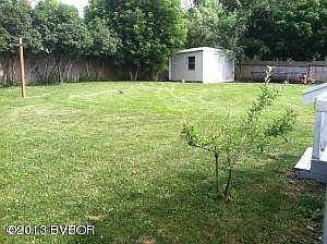 back yard