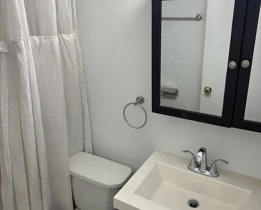 455 S Aiken Ave #4
