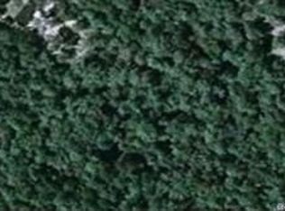 254 Compass Rd, Jesup, GA 31545